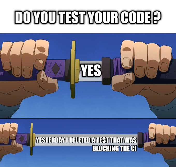 Test your code meme